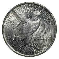 Reverse side of a U.S. silver dollar coin with an eagle.