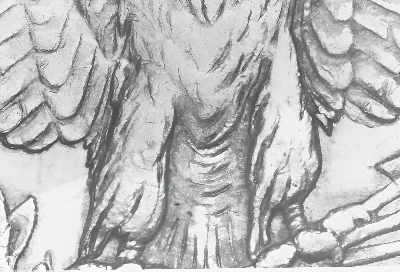 Mythical creature sketch with wings and claws.