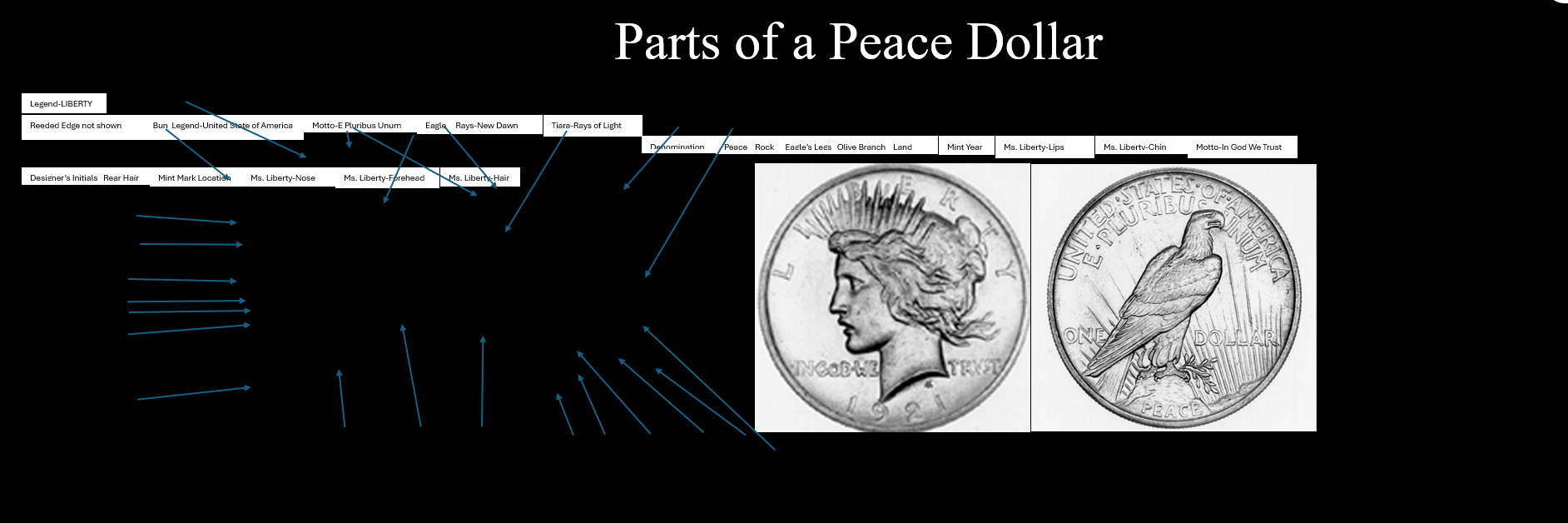 Diagram labeling parts of a Peace Dollar coin with arrows pointing to features.