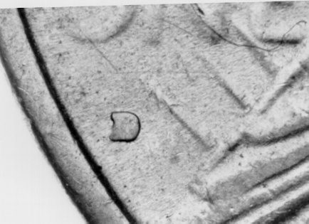 Close-up of coin with small "D" mark.