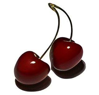 Two shiny red cherries with stems.