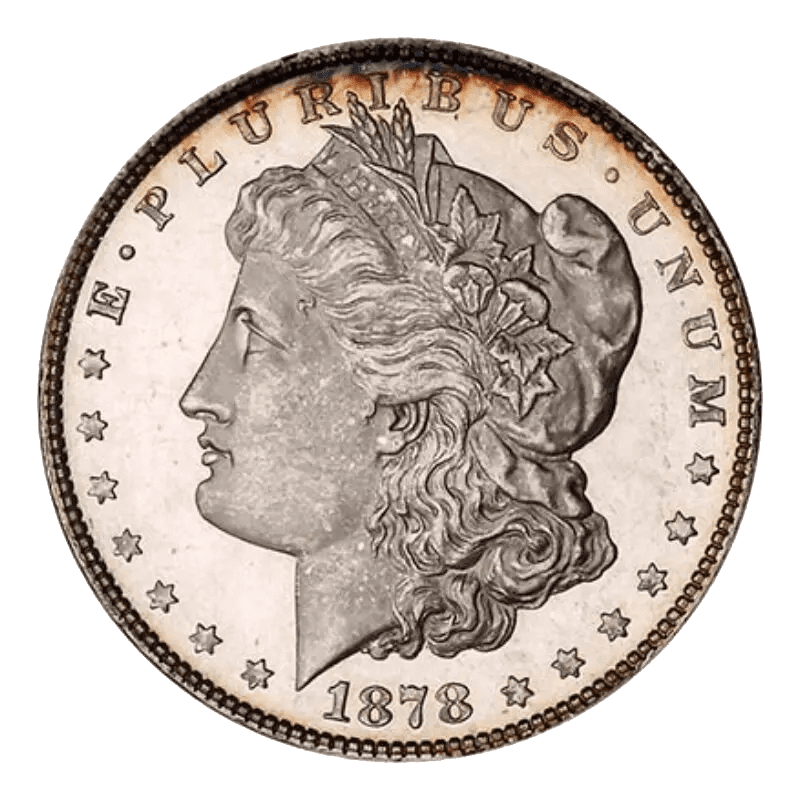 A 1878 Morgan silver dollar coin showing Lady Liberty profile.