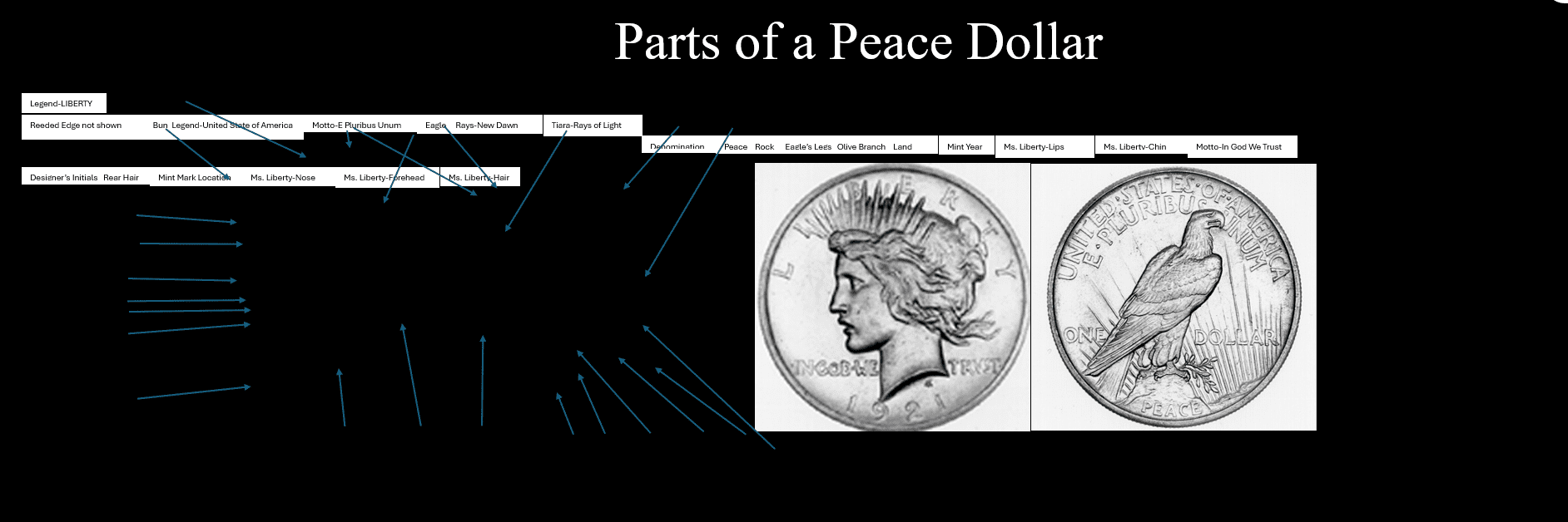 Diagram labeling parts of a Peace Dollar coin with arrows pointing to features.